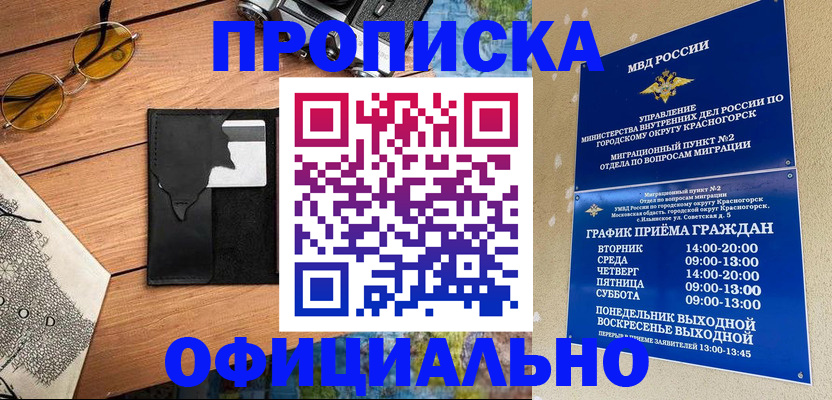 прописка поиск в Купино